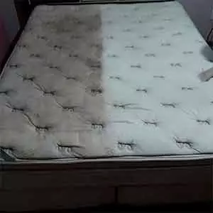 Seu Limpeza de caixa de água em Carapicuíba Limpo
